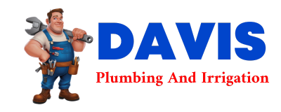 Trusted plumber in CHICOTA